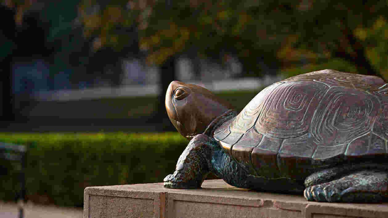 Testudo Sunrise SC 09182019 1165 1920x1080 Thumbnail
