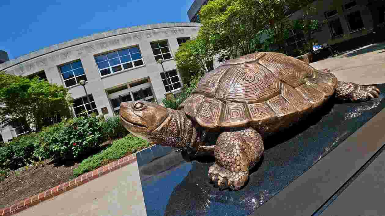 UMD18 Web Homepage TERP Testudo Statue 3 Thumbnail