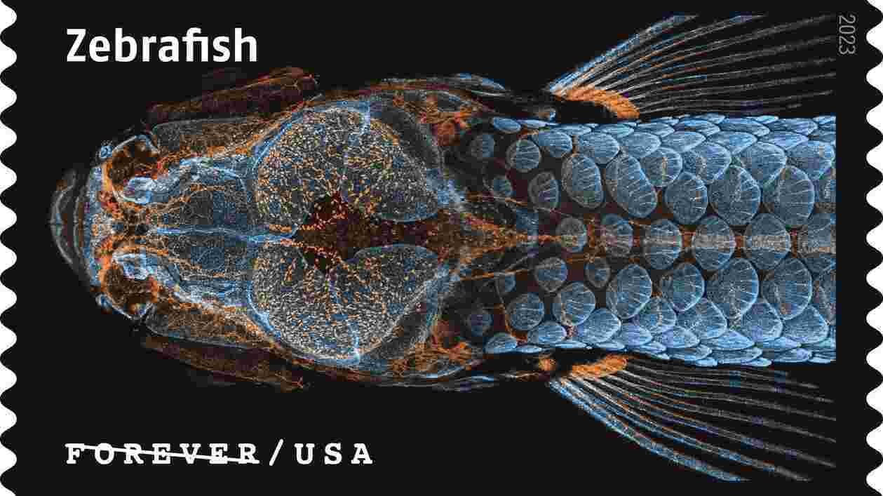 USPS23 STA030 C 1920x1080 1 Thumbnail