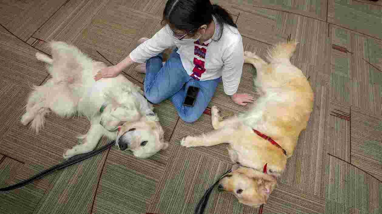 Wagsfor Wellness 05022022 SC 1143 1920x1080 Thumbnail