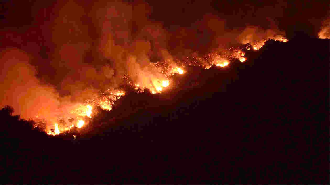Wild Fire Screen Grab Thumbnail