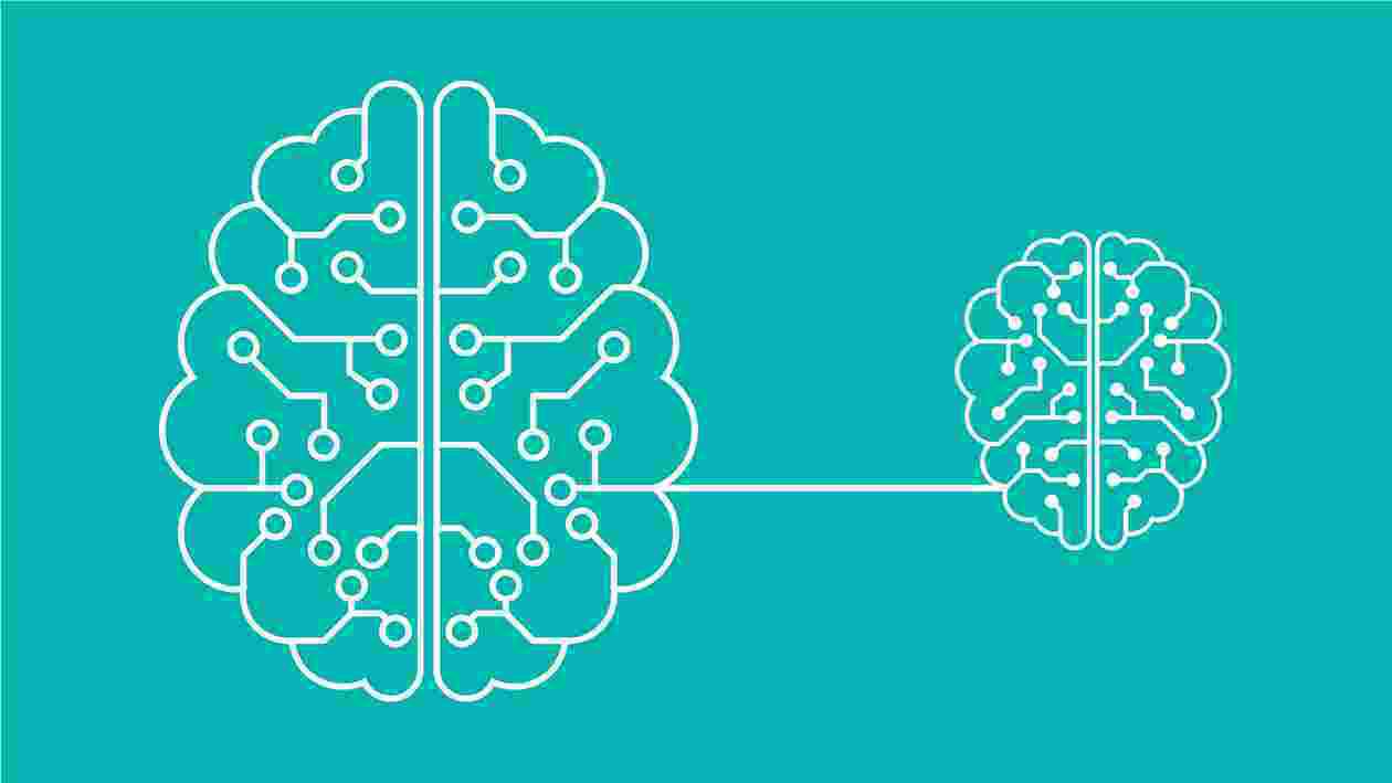 Brains illustration Thumbnail