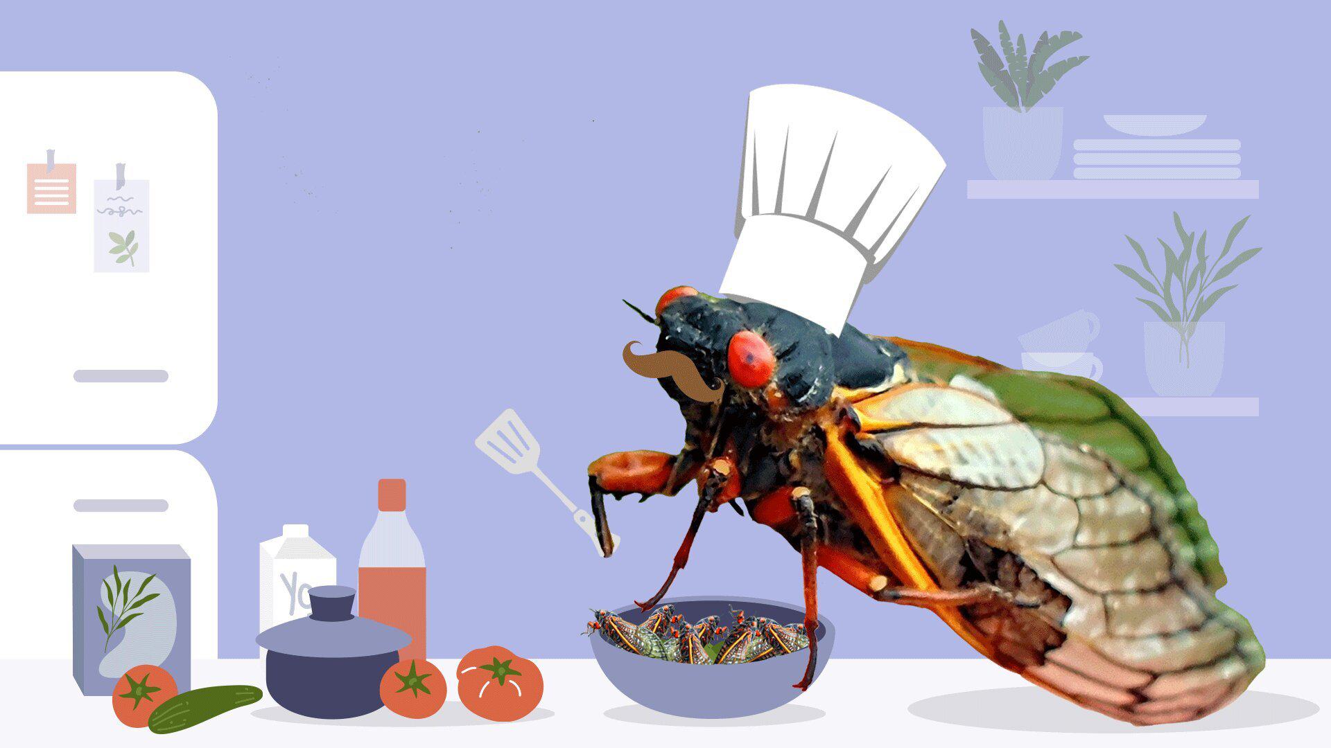 Cicada chef 1920x1080 Thumbnail