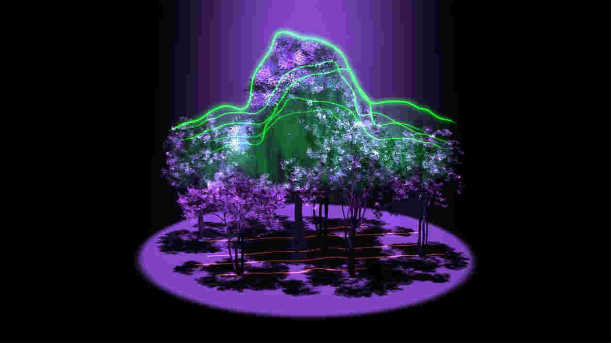 Earth sci lidar 01 left frames 000081 Thumbnail