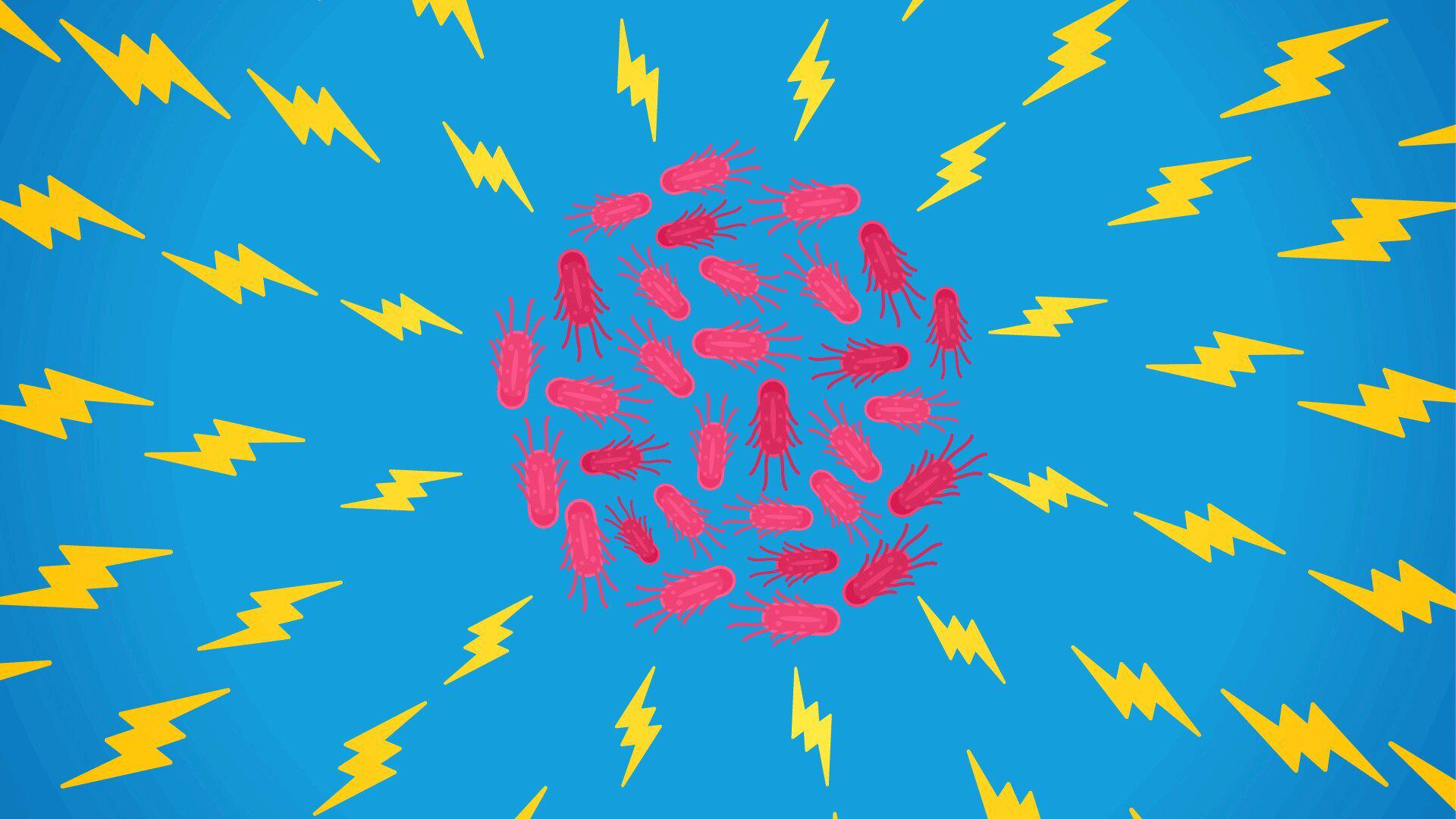 Ecoli istock 1920x1080 Thumbnail