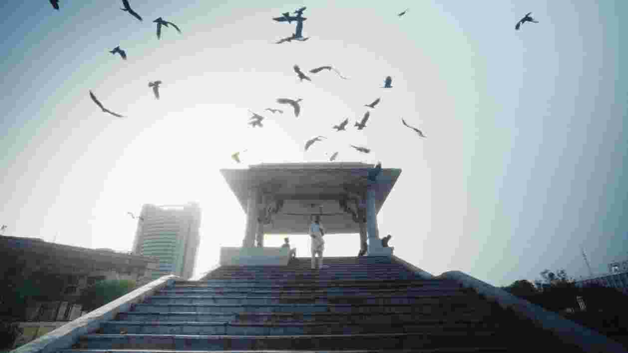Feeding kites 1920x1080 Thumbnail