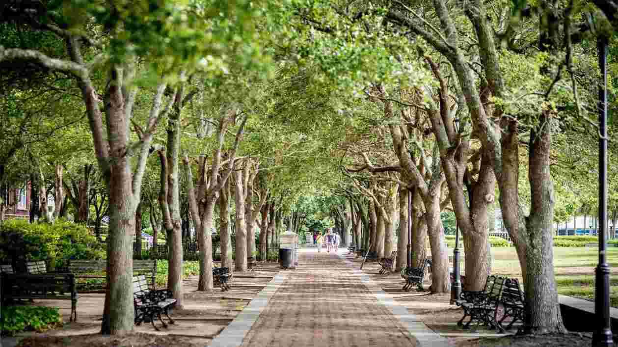 Greenspace 1920x1080 Thumbnail