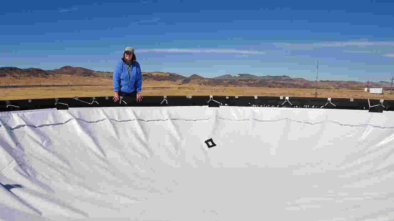 Image1 web Thumbnail