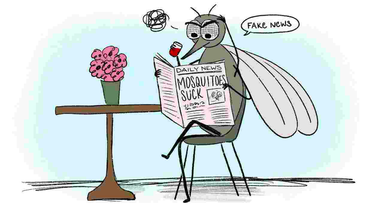 Mosquito valeriemorgan 1920x1080 Thumbnail