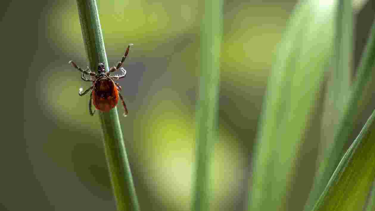 Pexels erik karits 4564961 1920x1080 Thumbnail