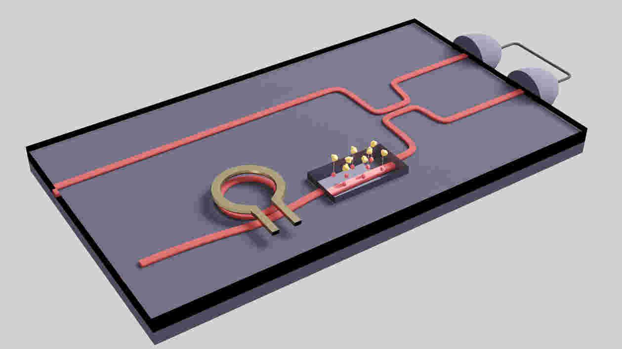 Quantumsensor 1920x1080 Thumbnail