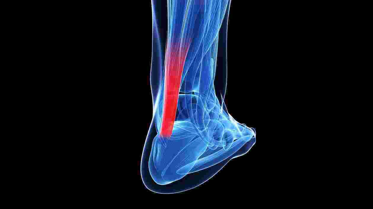 Shutterstock 130095365 1920x1080 1 Thumbnail
