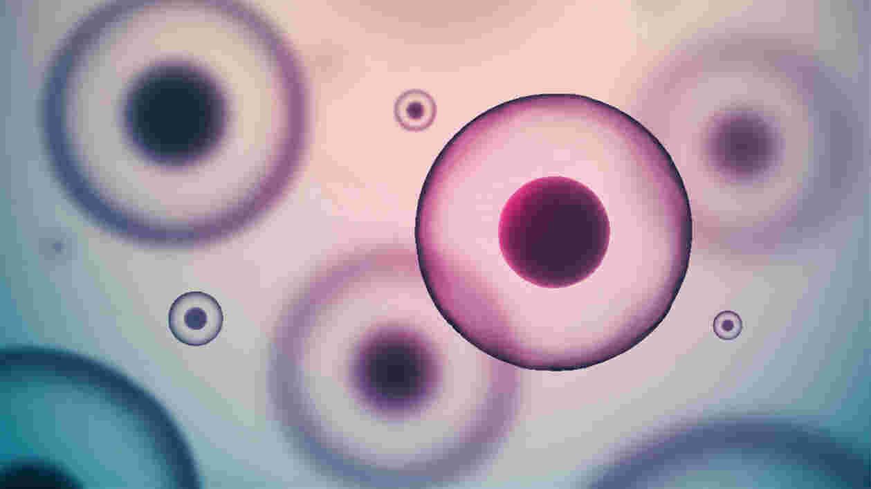 Shutterstock 237972814 1920x1080 Thumbnail