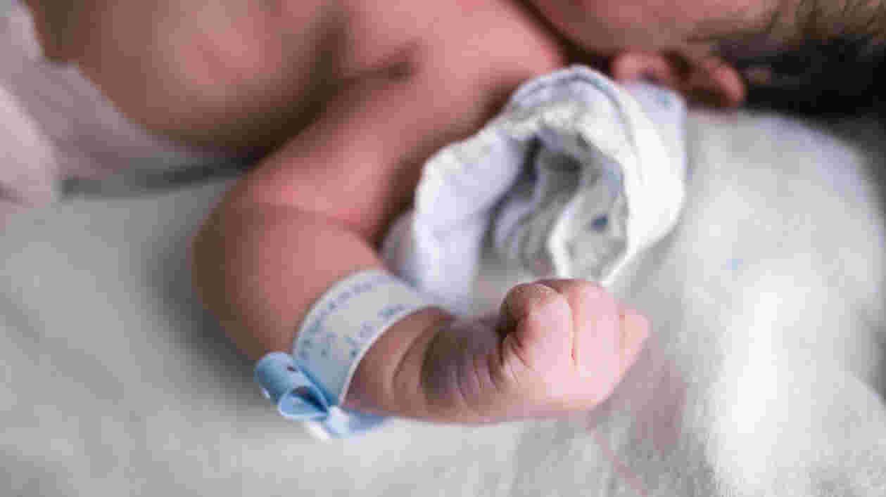 Shutterstock 417576595 1920x1080 Thumbnail