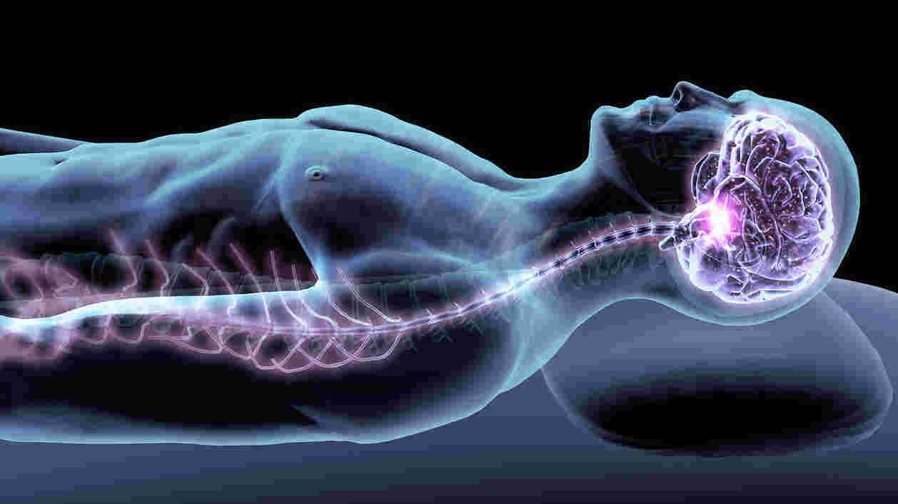 Spine i Stock 904902642 1920x1080 Thumbnail