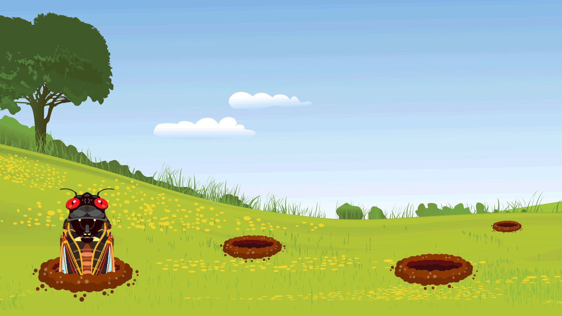 Whackacicada 1820x1080 2 Thumbnail