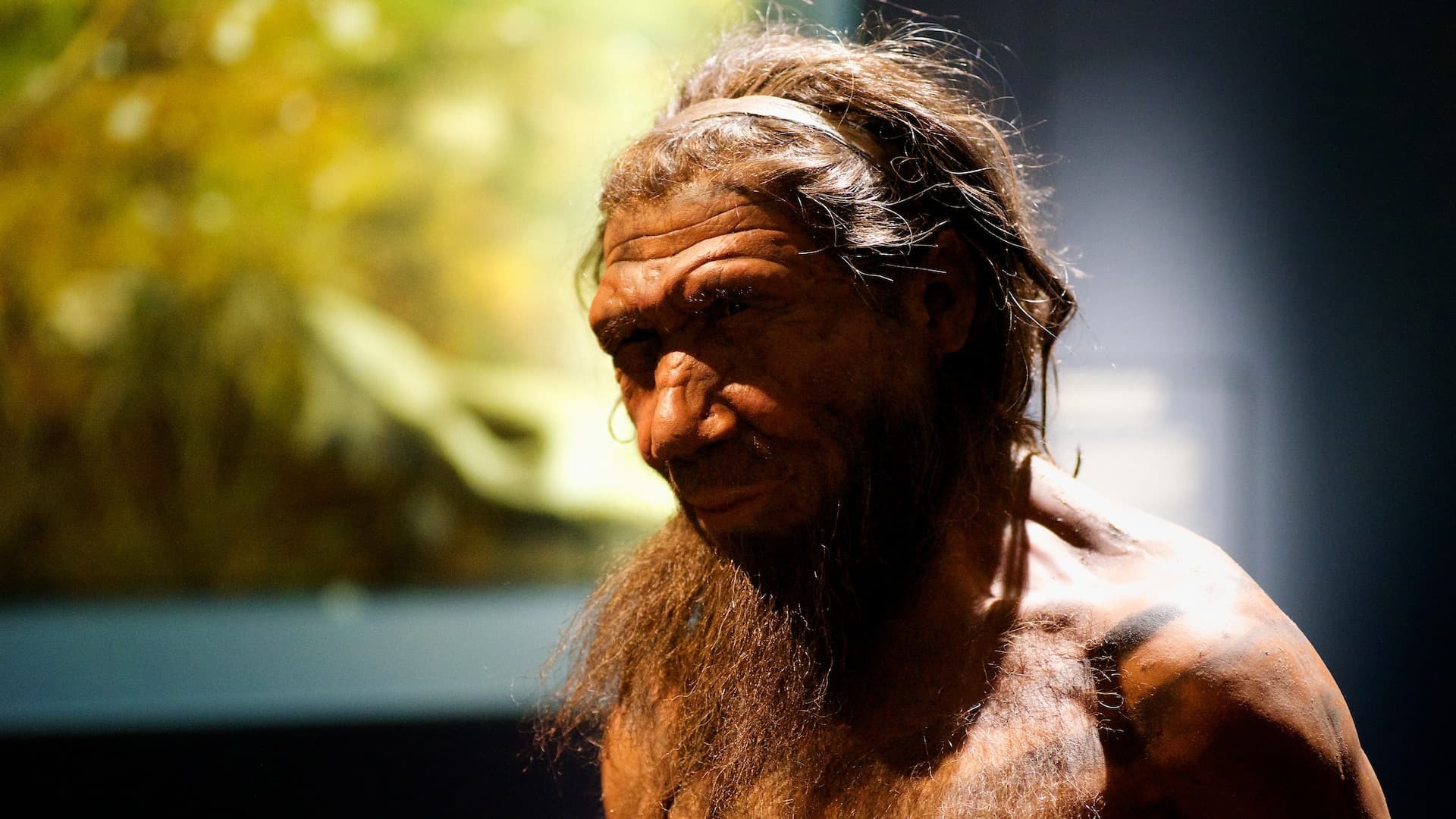 Reconstruction of a hairy Neanderthal man