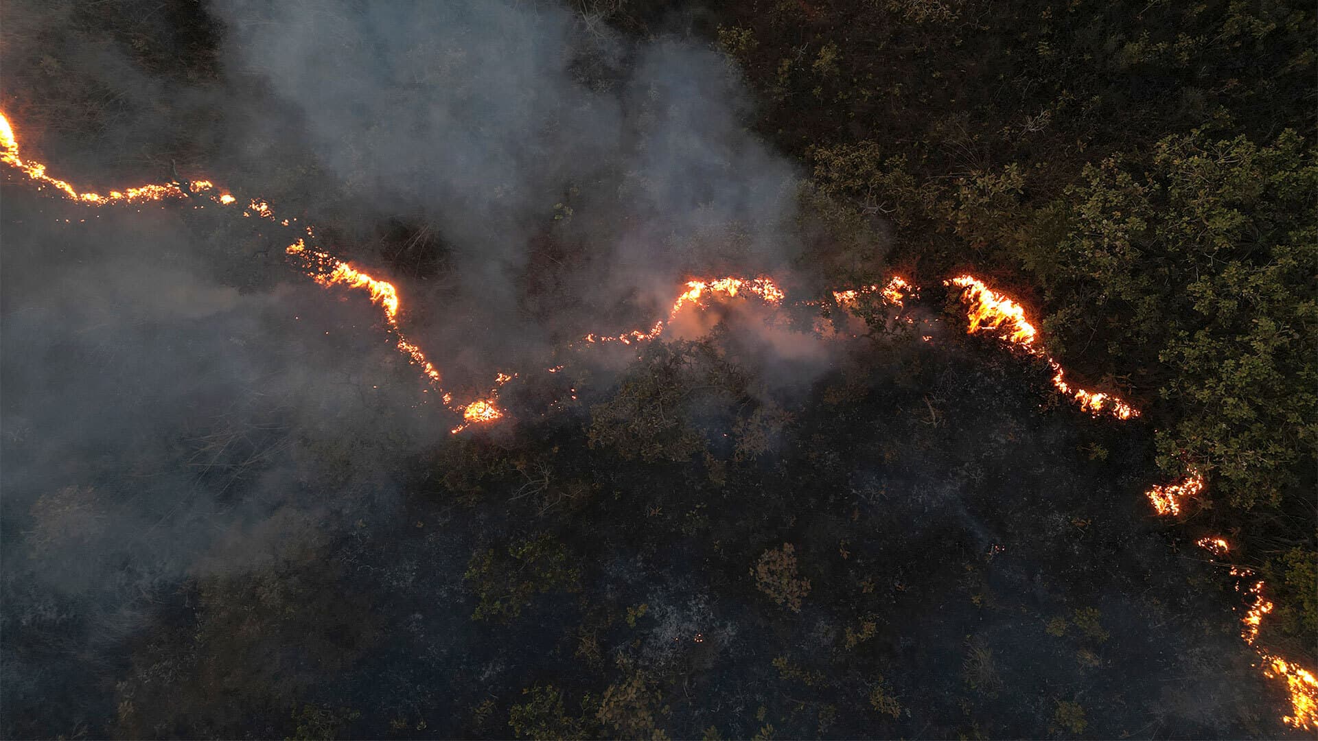 aerial view of forest fire