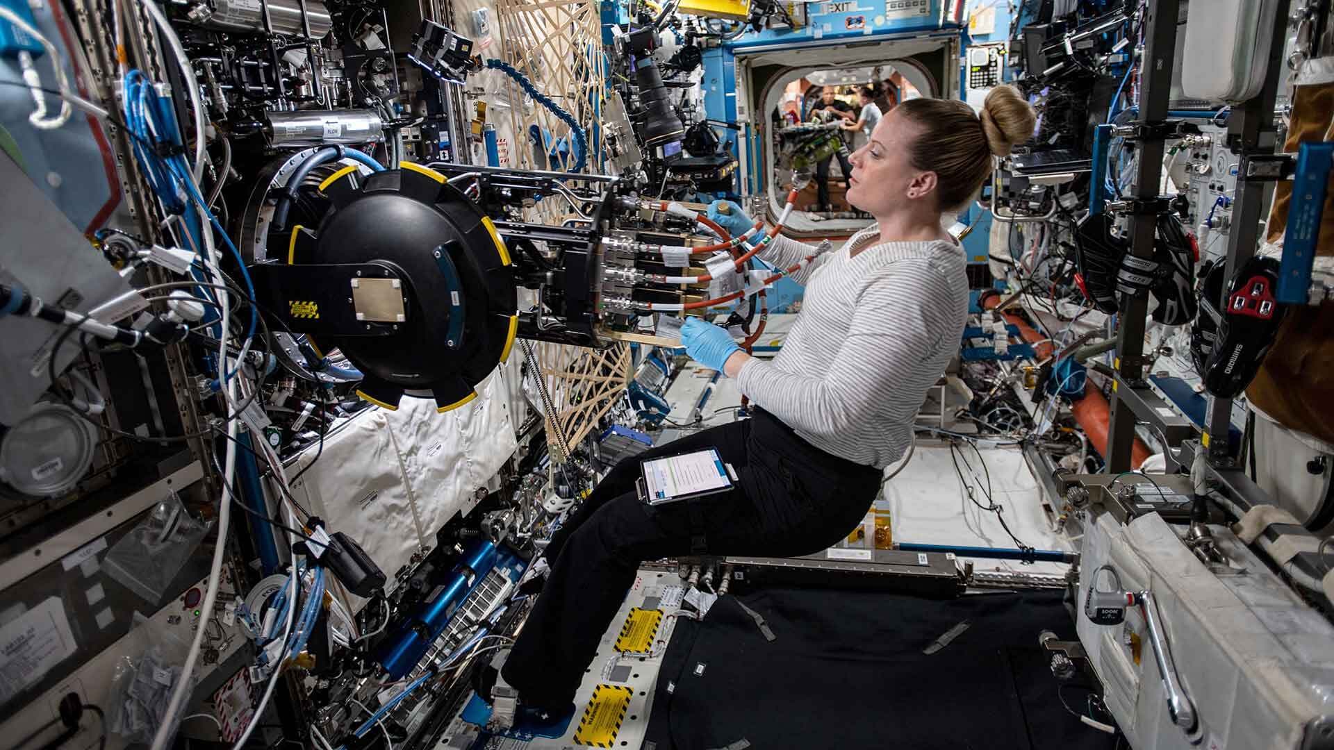 ISS astronaut works on combustion experiment equipment