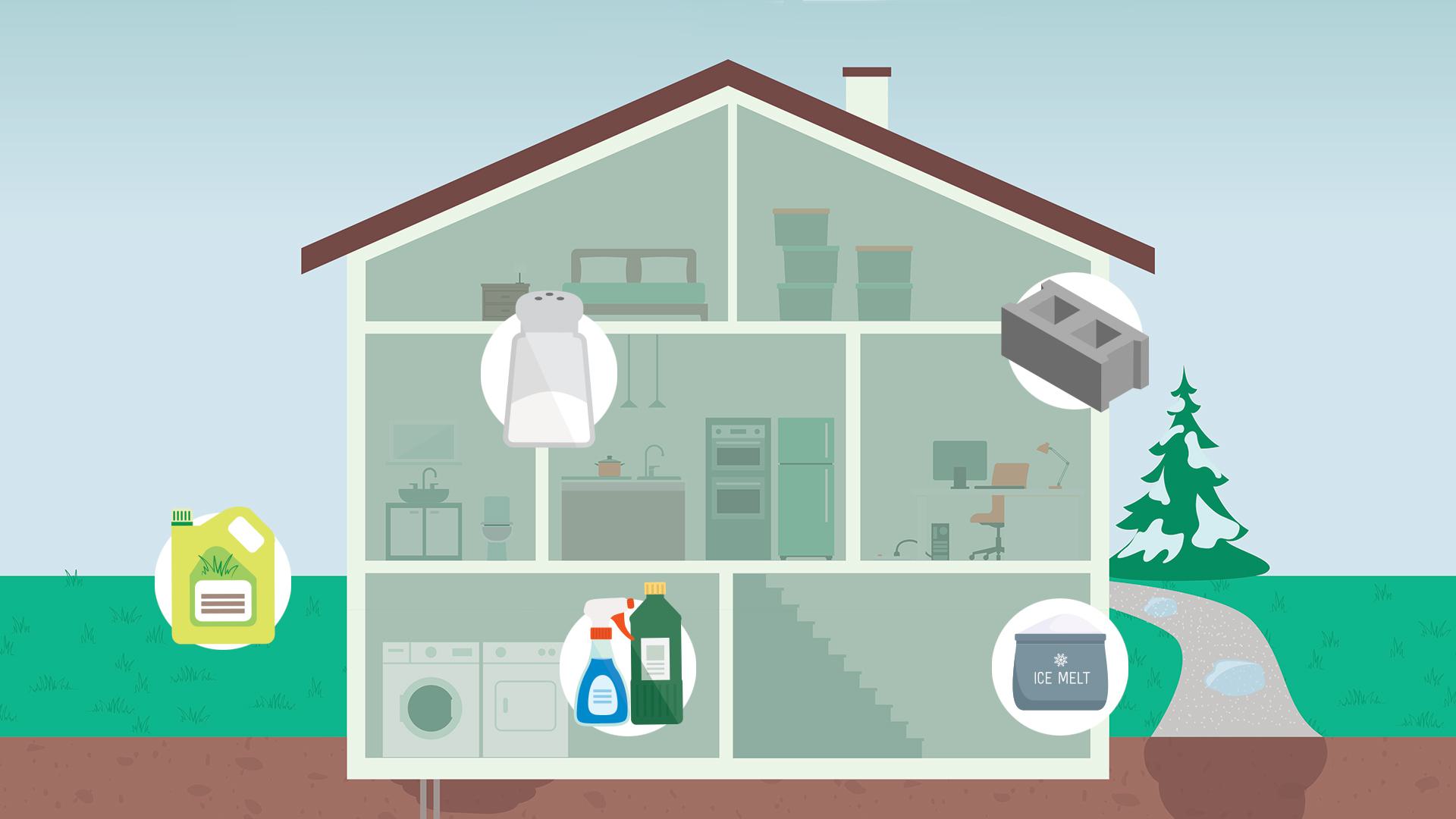 house with fertilizer, salt shaker, cleaning products, cinder block and ice melt