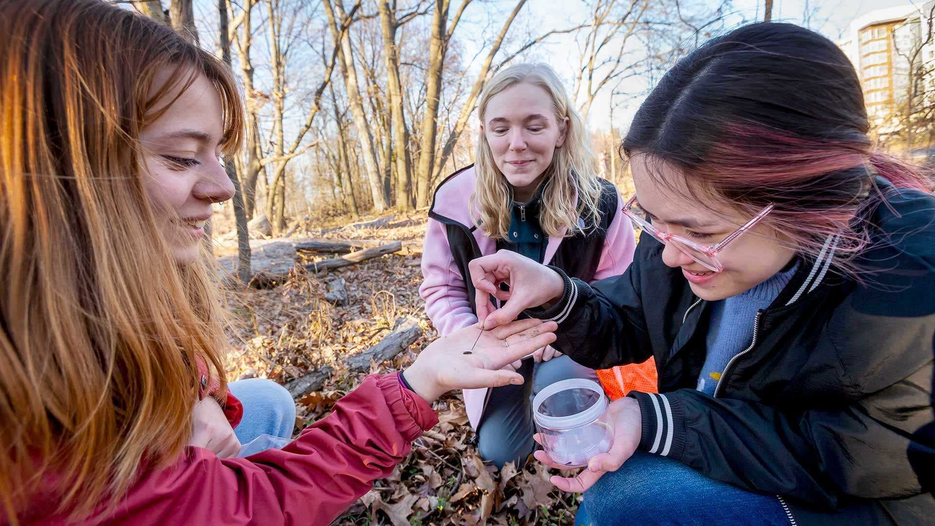 three students collect bugs