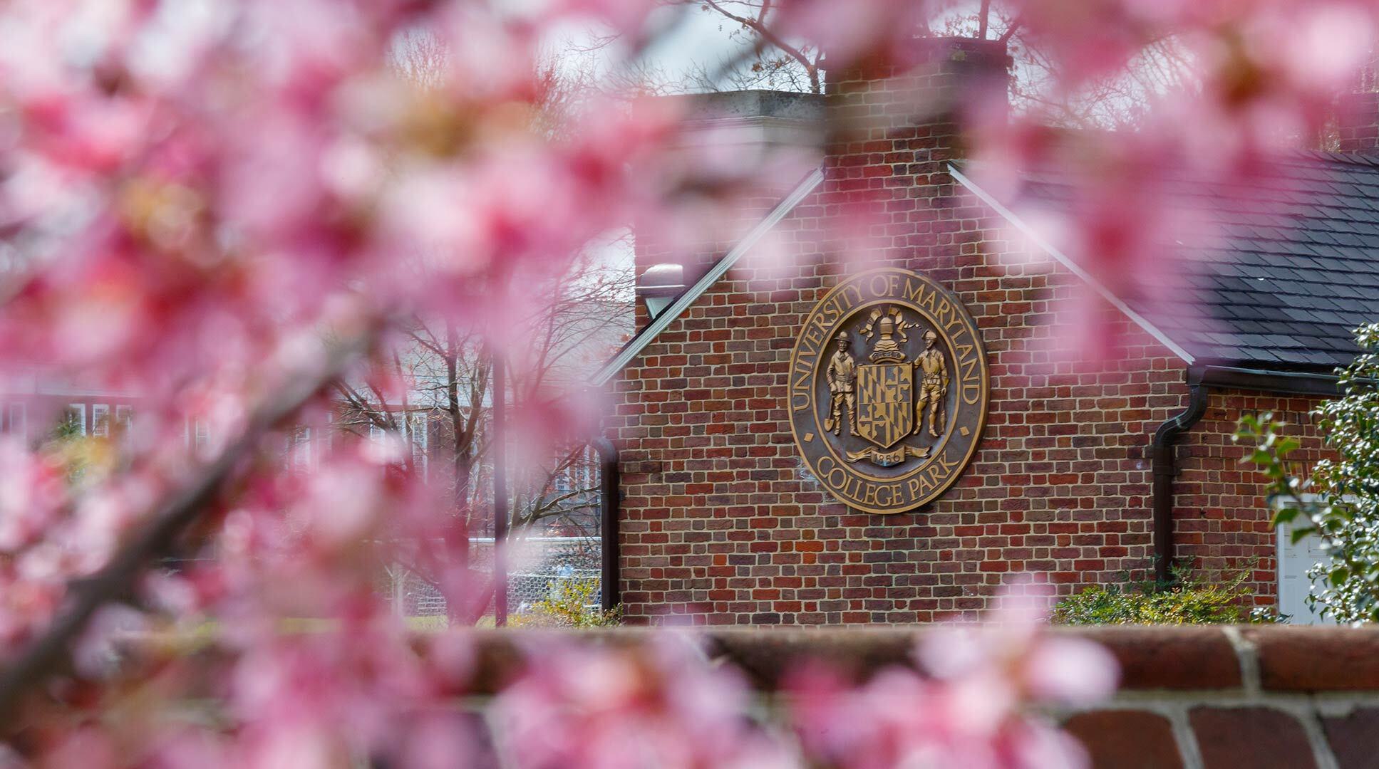 UMD seal on a building shown through cherry blossoms