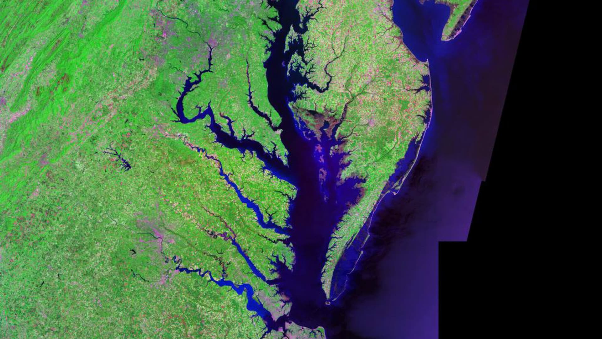 landsat composite image of the chesapeake