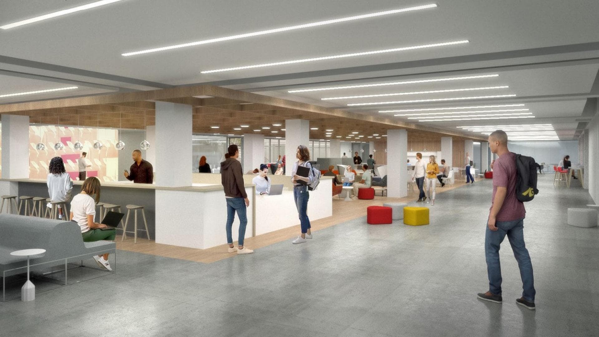 rendering of INFO Commons entry area