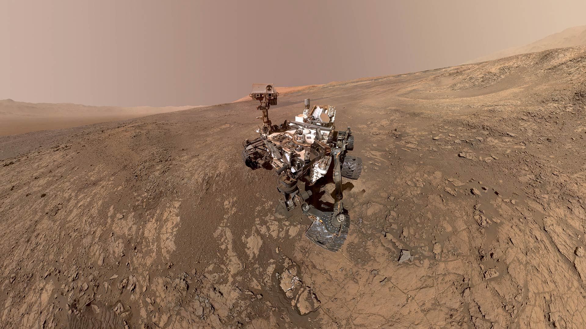 Rover Selfie
