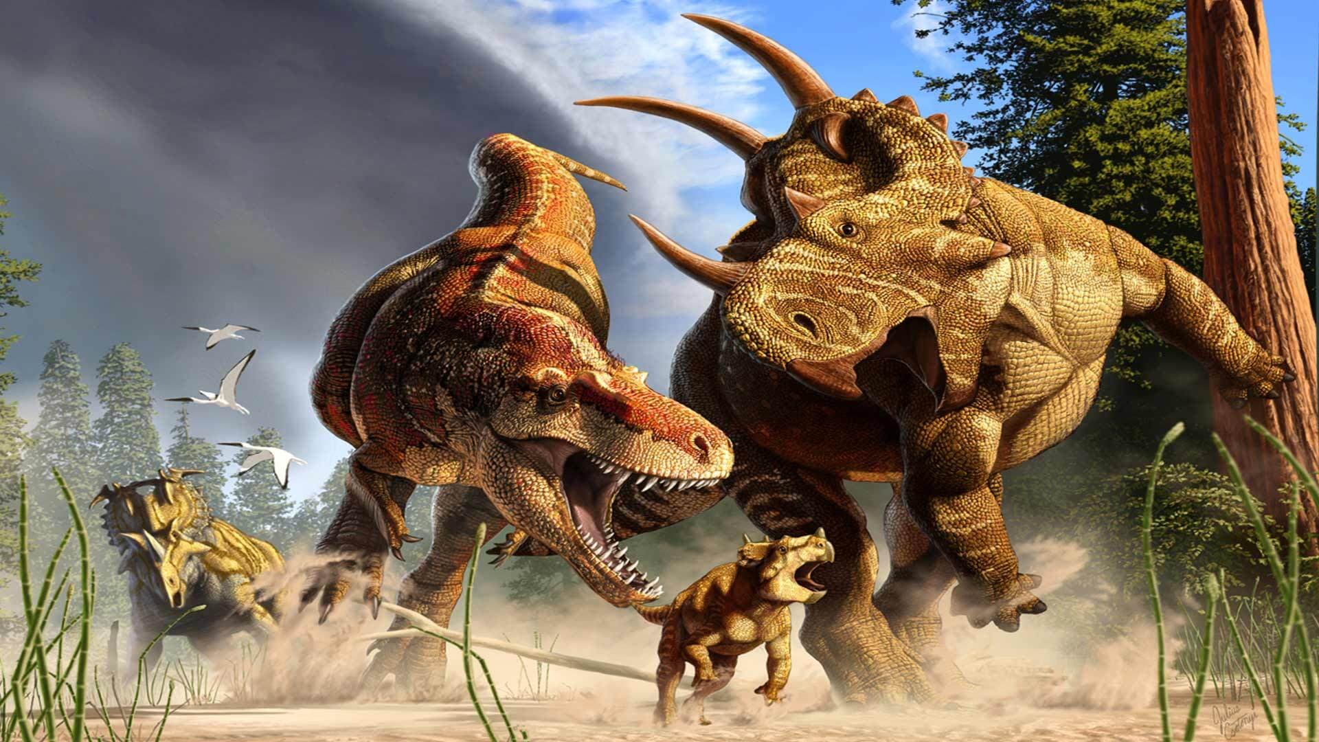 A tyrannosaur Daspletosaurus hunts a young horned Spinops, while an adult Spinops tries to intervene in an illustration set 77 million years ago.