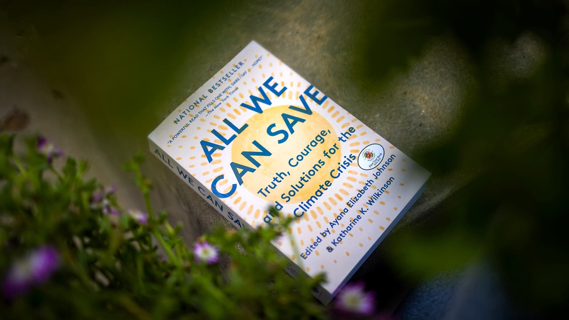 "All We Can Save" book