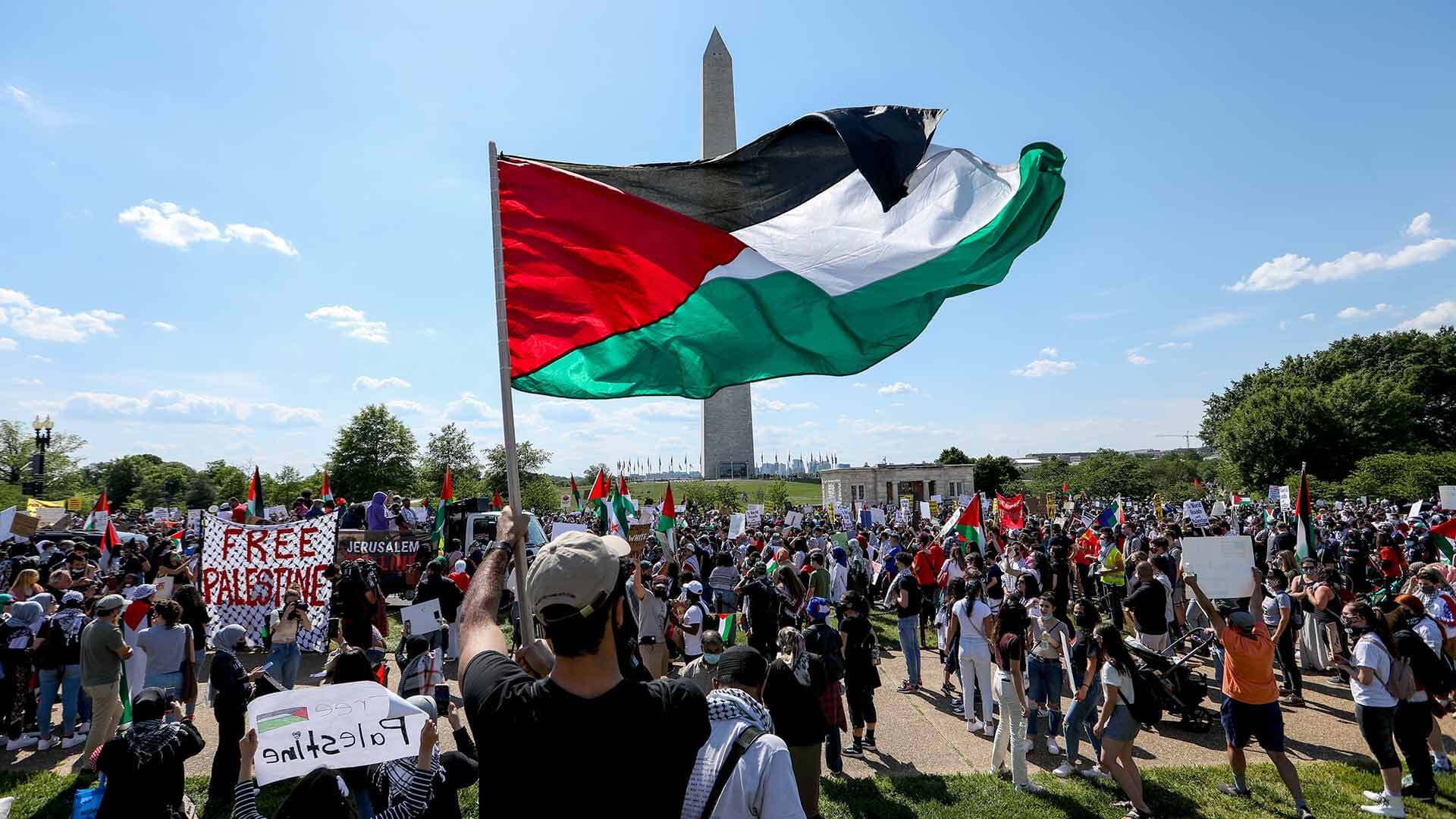 Supporters of Palestine gather in Washington, D.C.