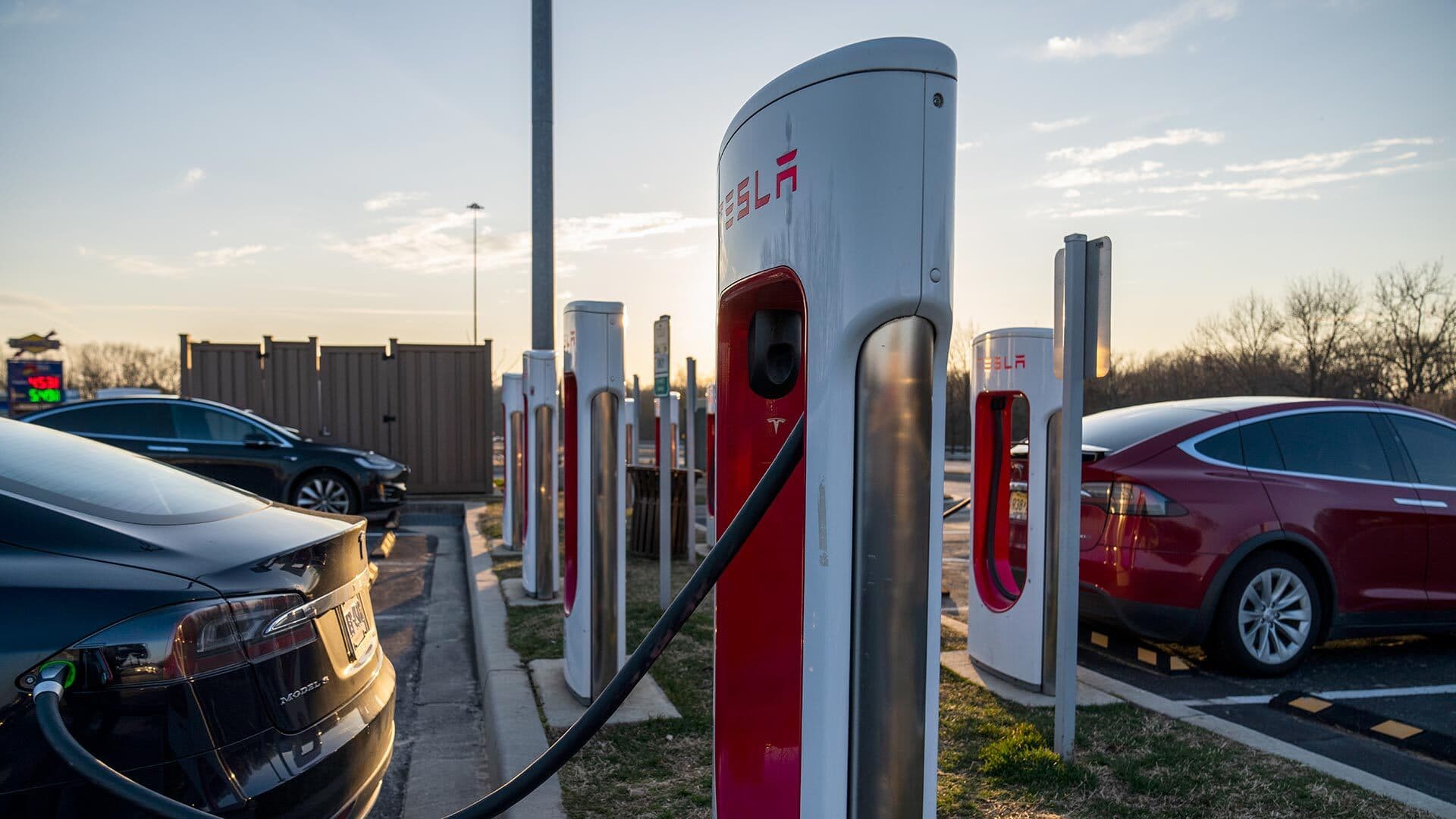 A row of Tesla charging stations plugged into cars