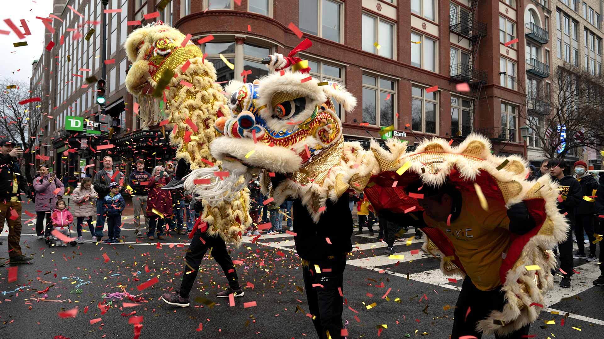 dragon from the Chinese Youth Club Lion Dance Troupe performs
