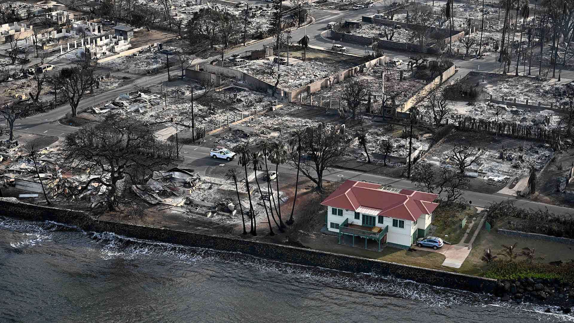 aerial image of wildfire damage