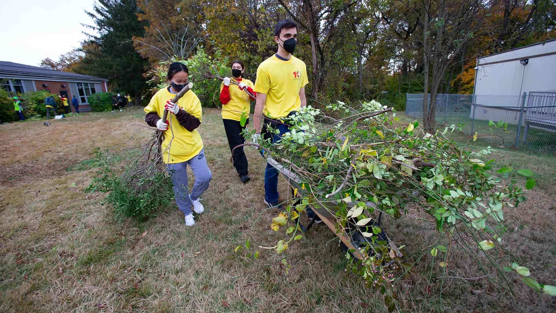 Terp volunteers clear debris
