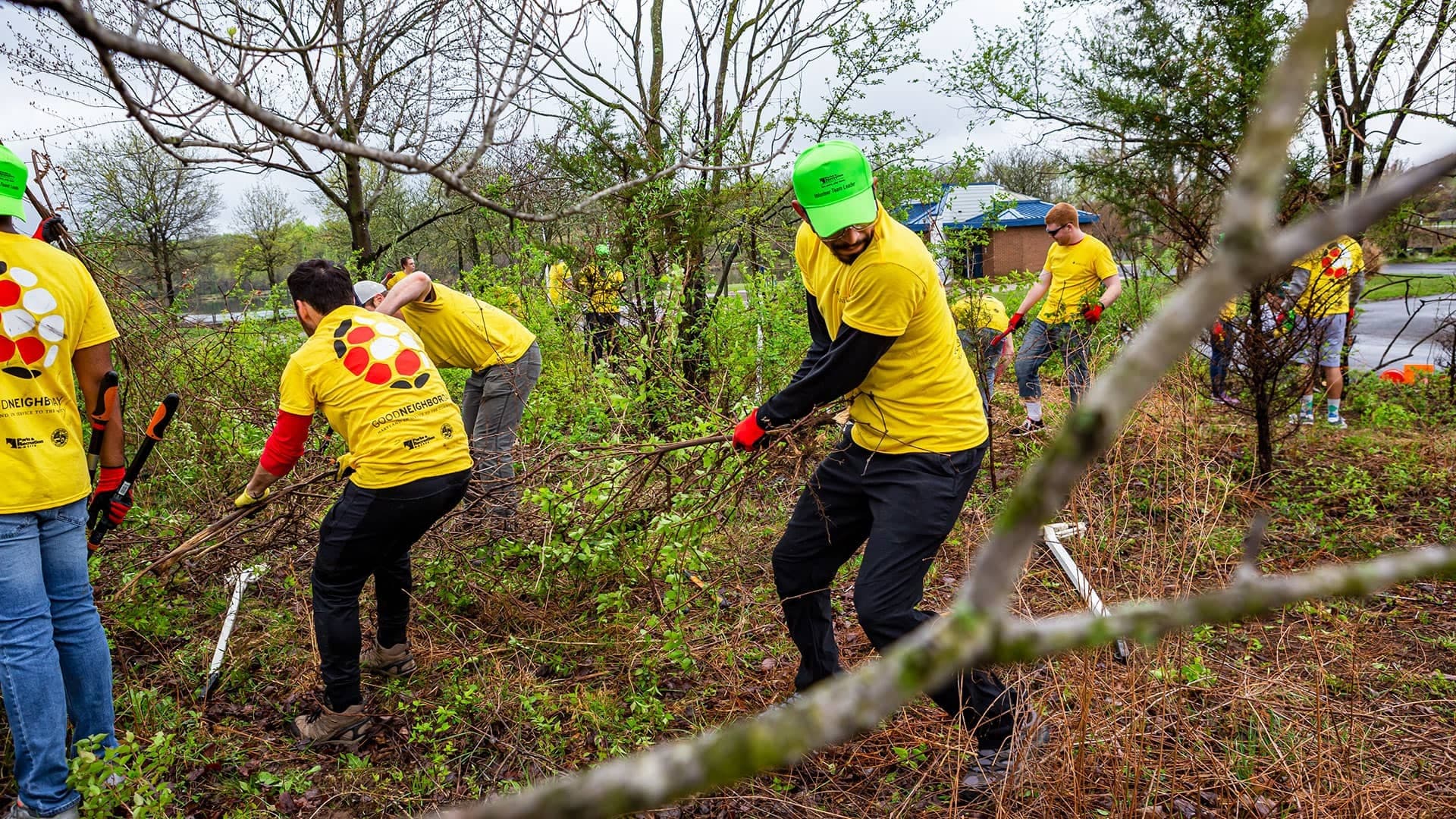 UMD students, faculty and staff volunteer at Good Neighbor Day 2019, removing invasive plant species near Lake Artemesia.
