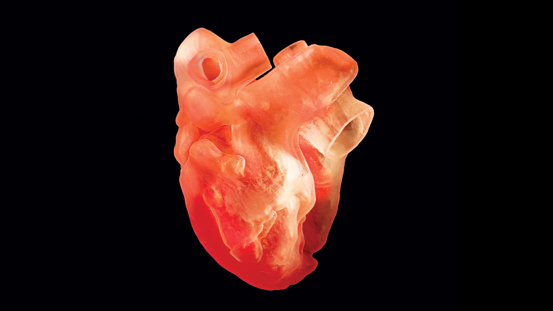 3D-printed heart