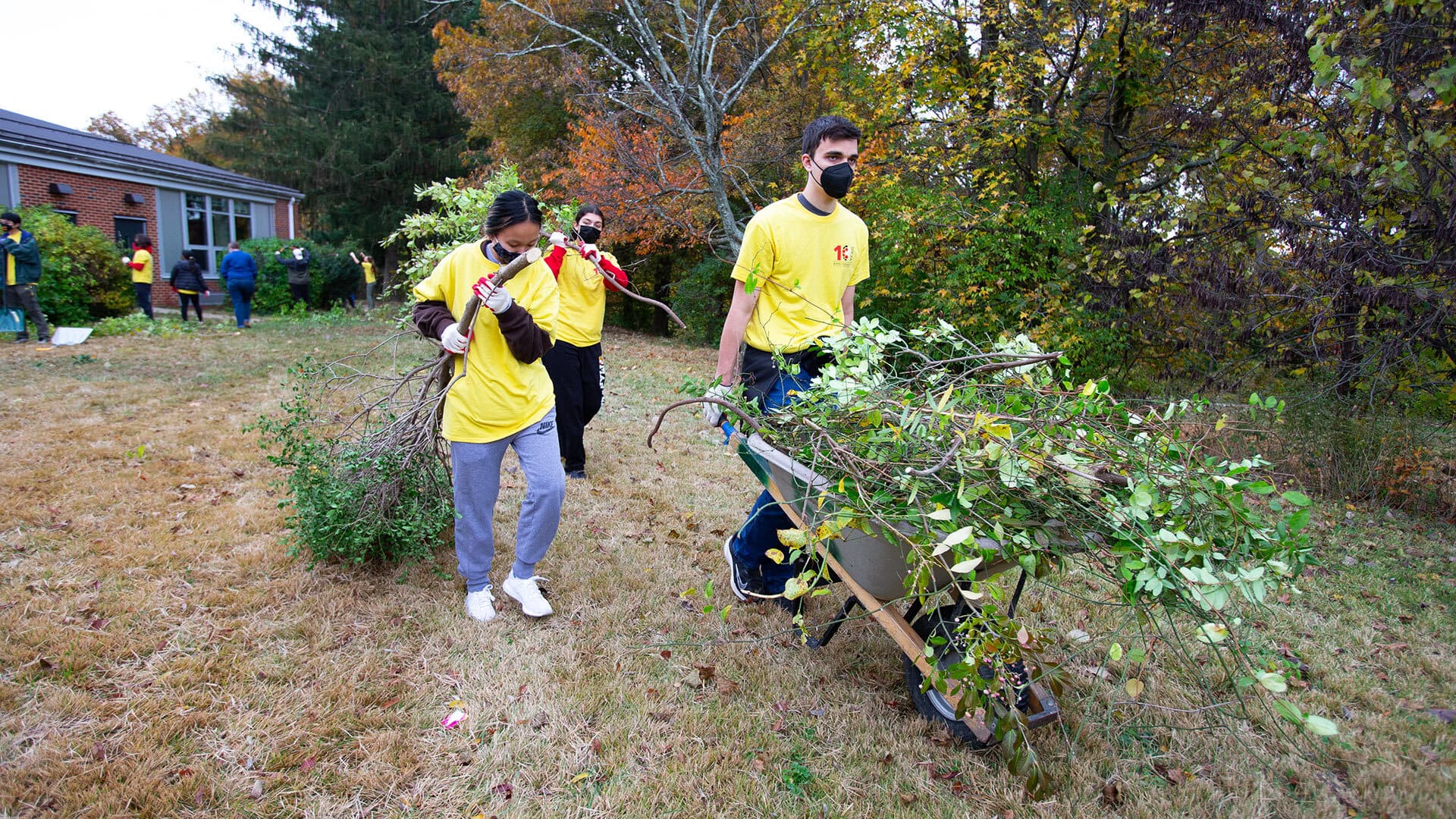 Three students clear brush at a school on Good Neighbror Day
