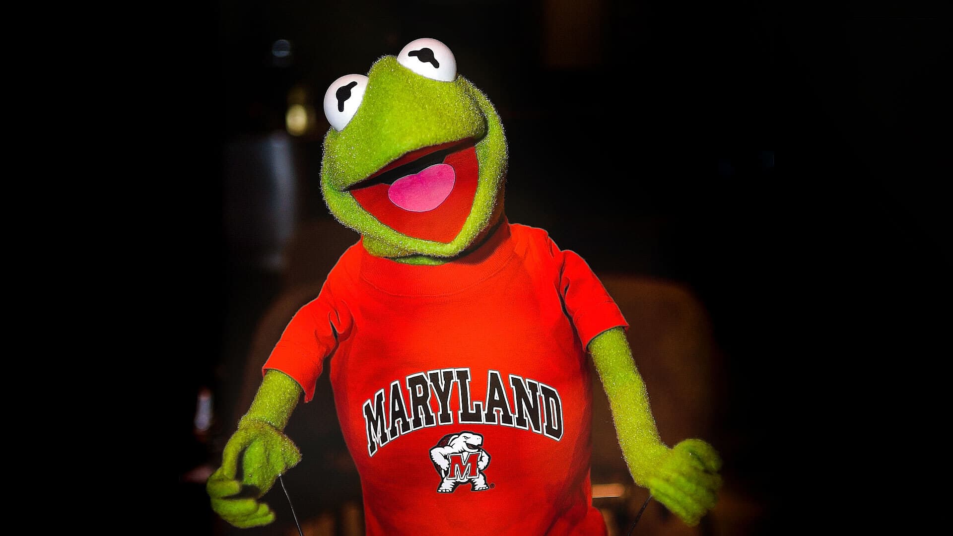 Kermit wearing Maryland T-shirt