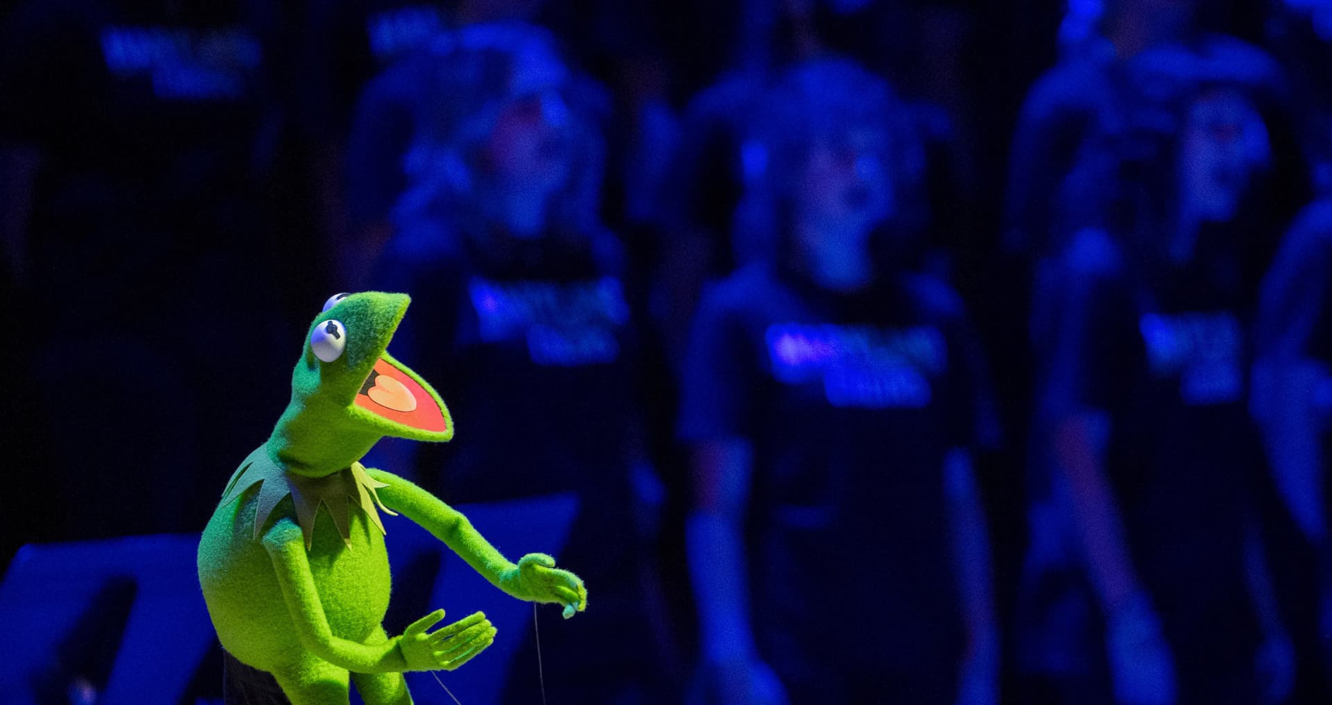 Kermit the Frog on stage