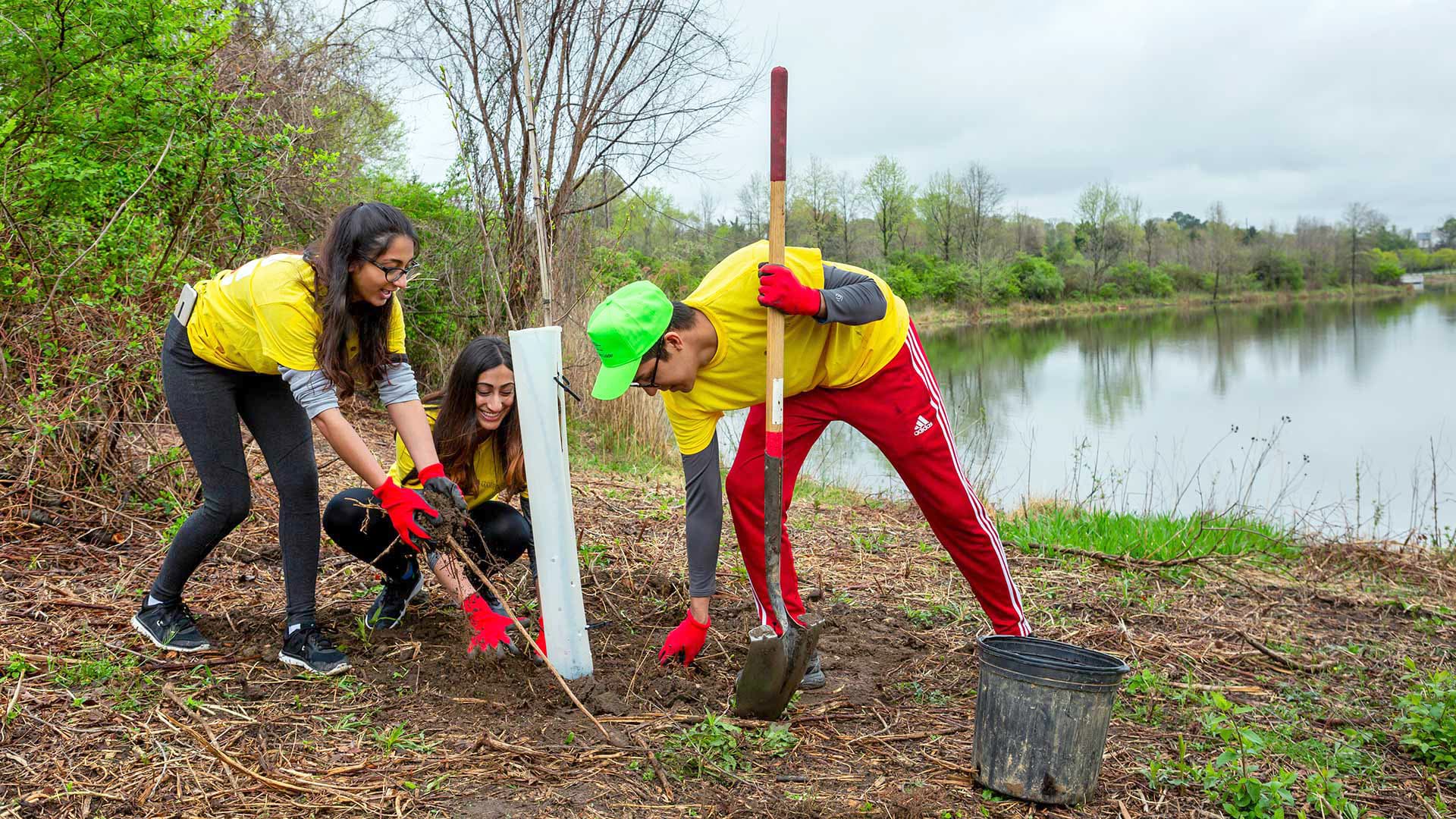 Terps plant a tree on Good Neighbor Day