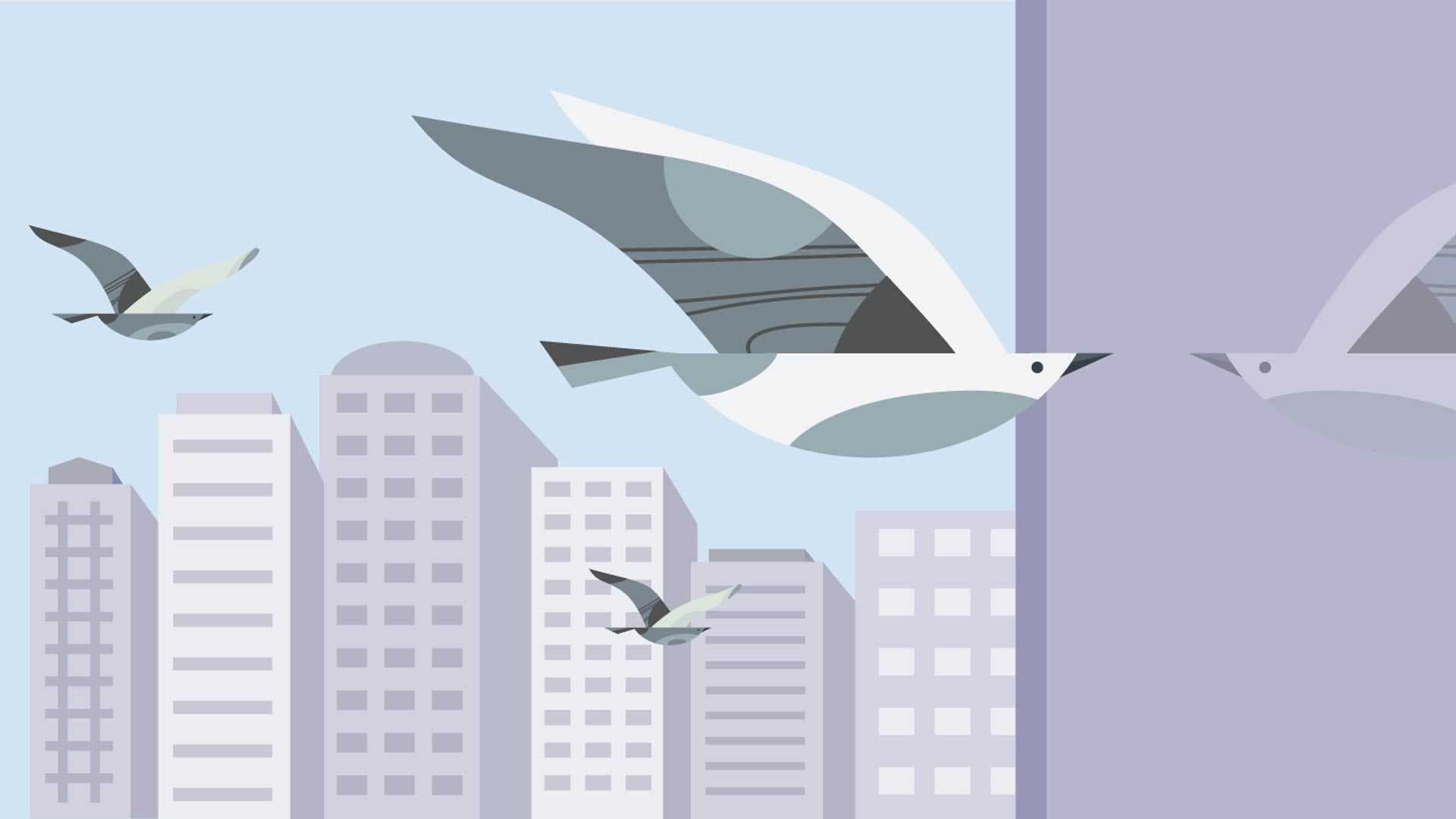 Illustration of bird flying near building
