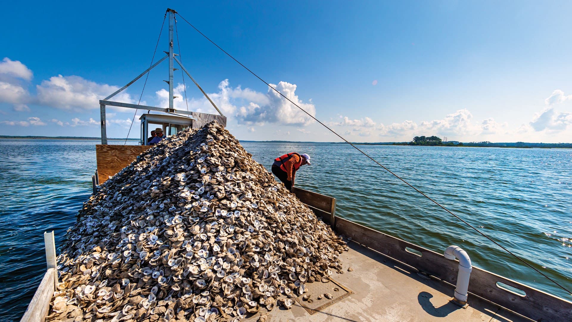 Pile of oyster shells on boat