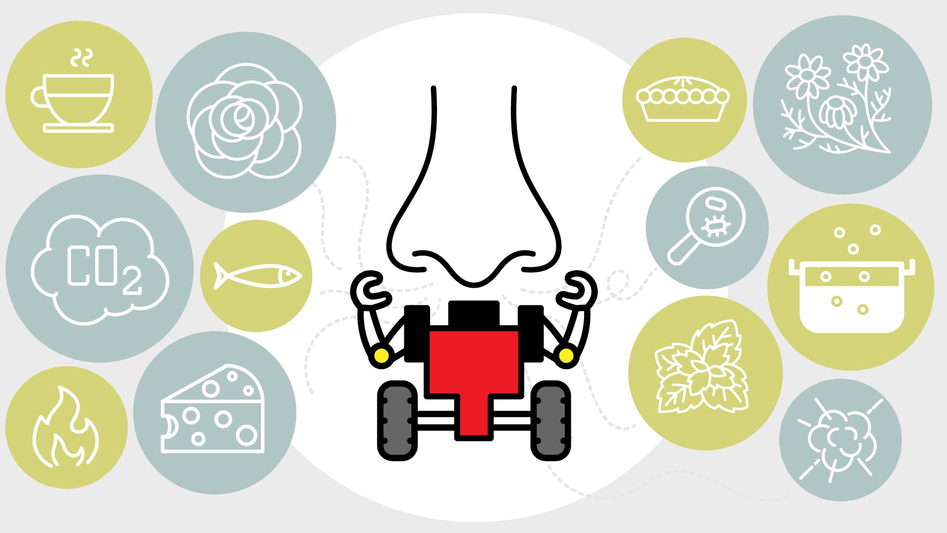 illustration of nose smelling different things