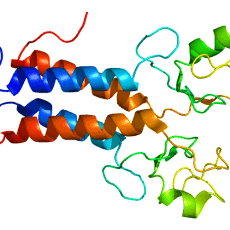 Protein BRCA1