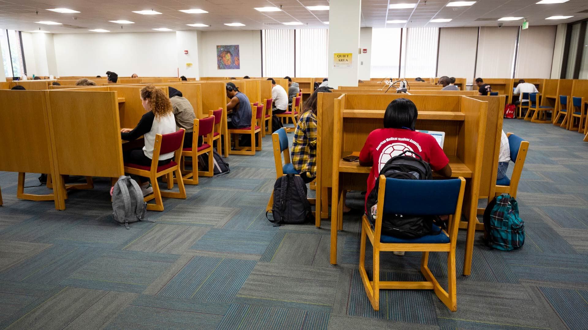 Students studying in the STEM Library