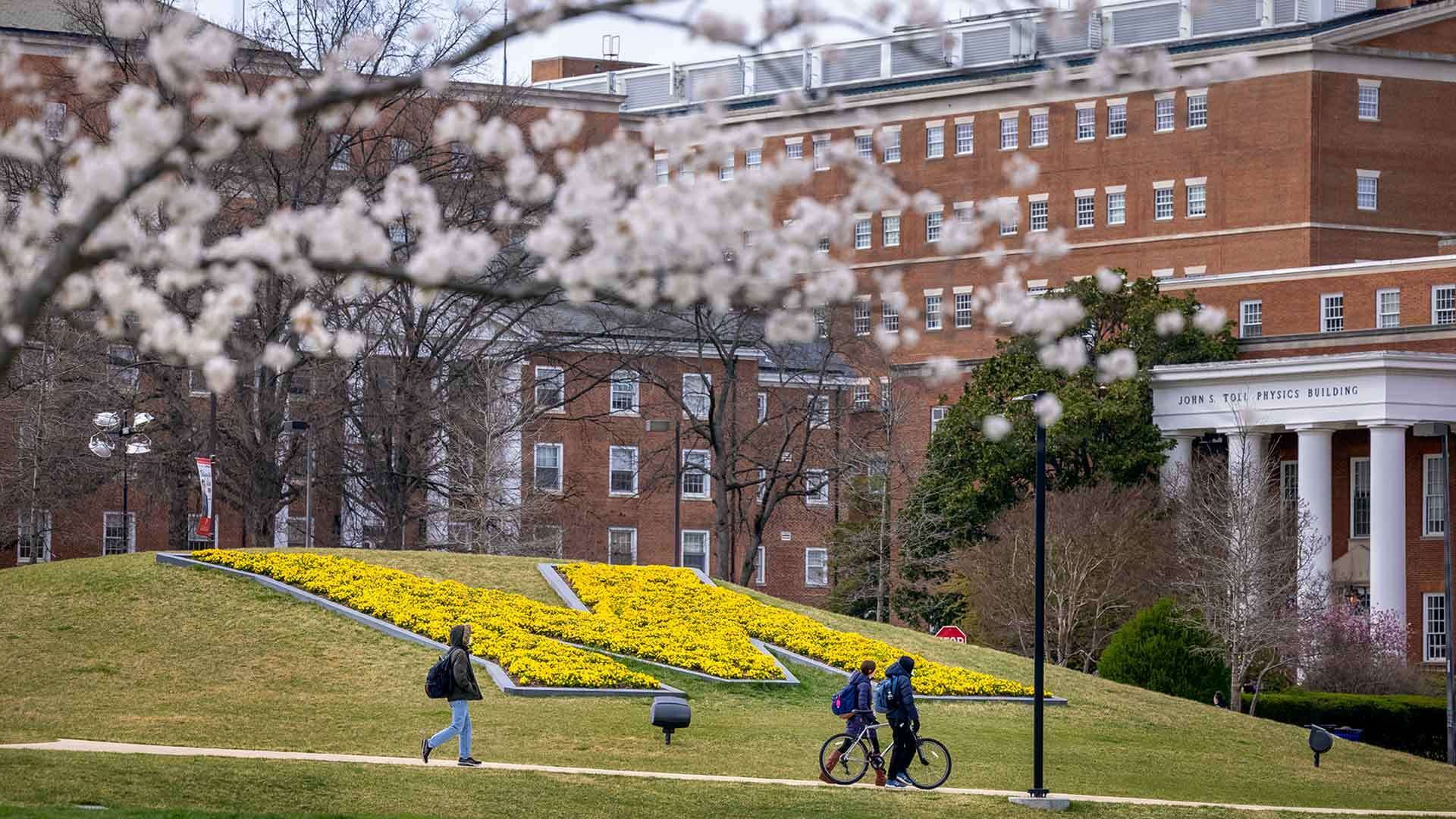 The M during spring on campus