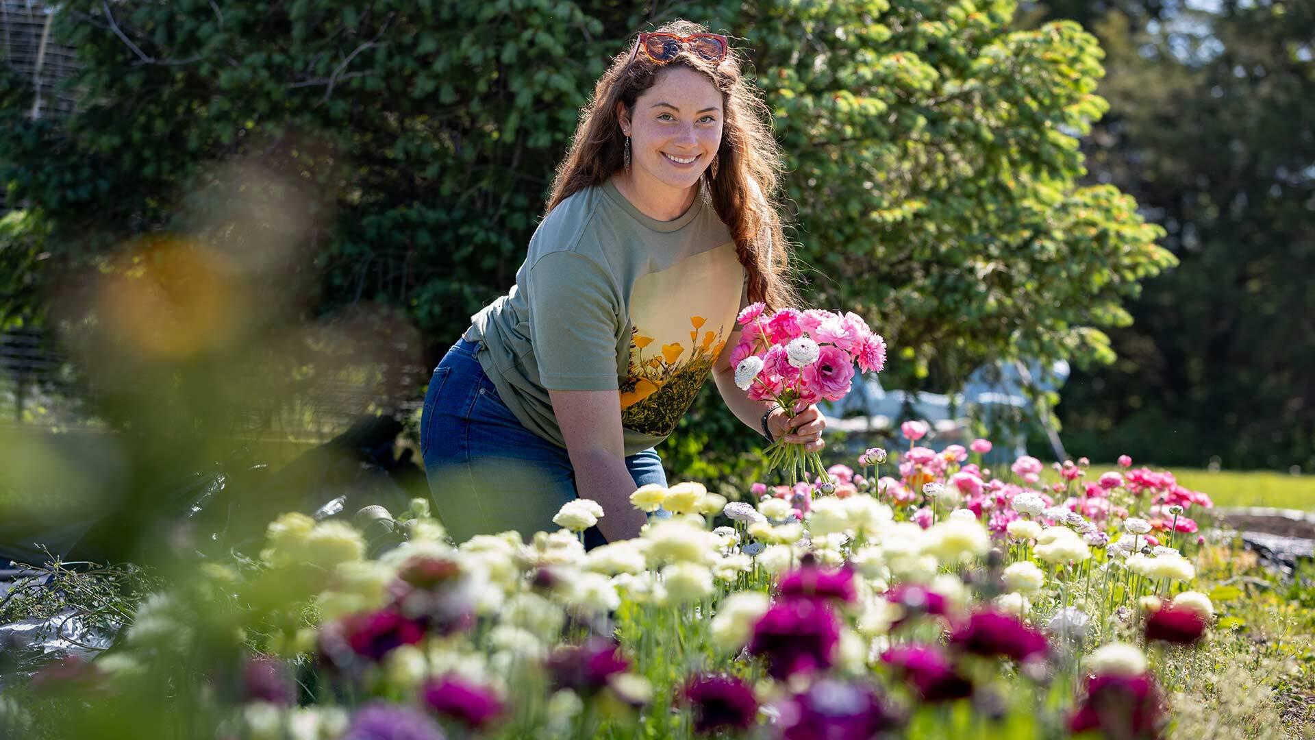 Rachel Ross on flower farm