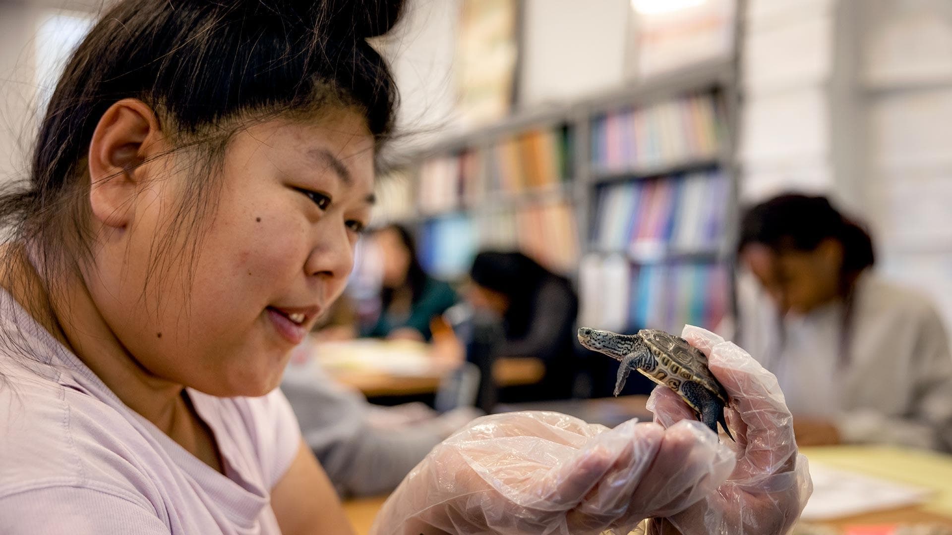 Student holds baby terrapin